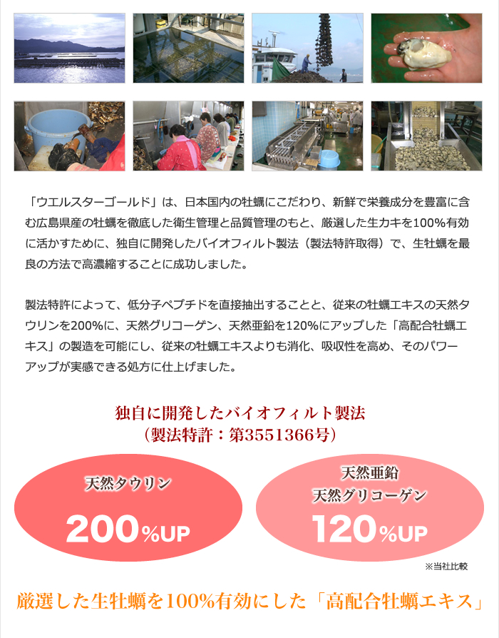 「ウエルスターゴールド」は、日本国内の牡蠣にこだわり、新鮮で栄養成分を豊富に含む広島県産の牡蠣を徹底した衛生管理と品質管理のもと、厳選した生カキを100%有効に活かすために、独自に開発した製法特許（バイオフィルト製法）で、生カキを最良の方法で高濃縮することに成功しました。
